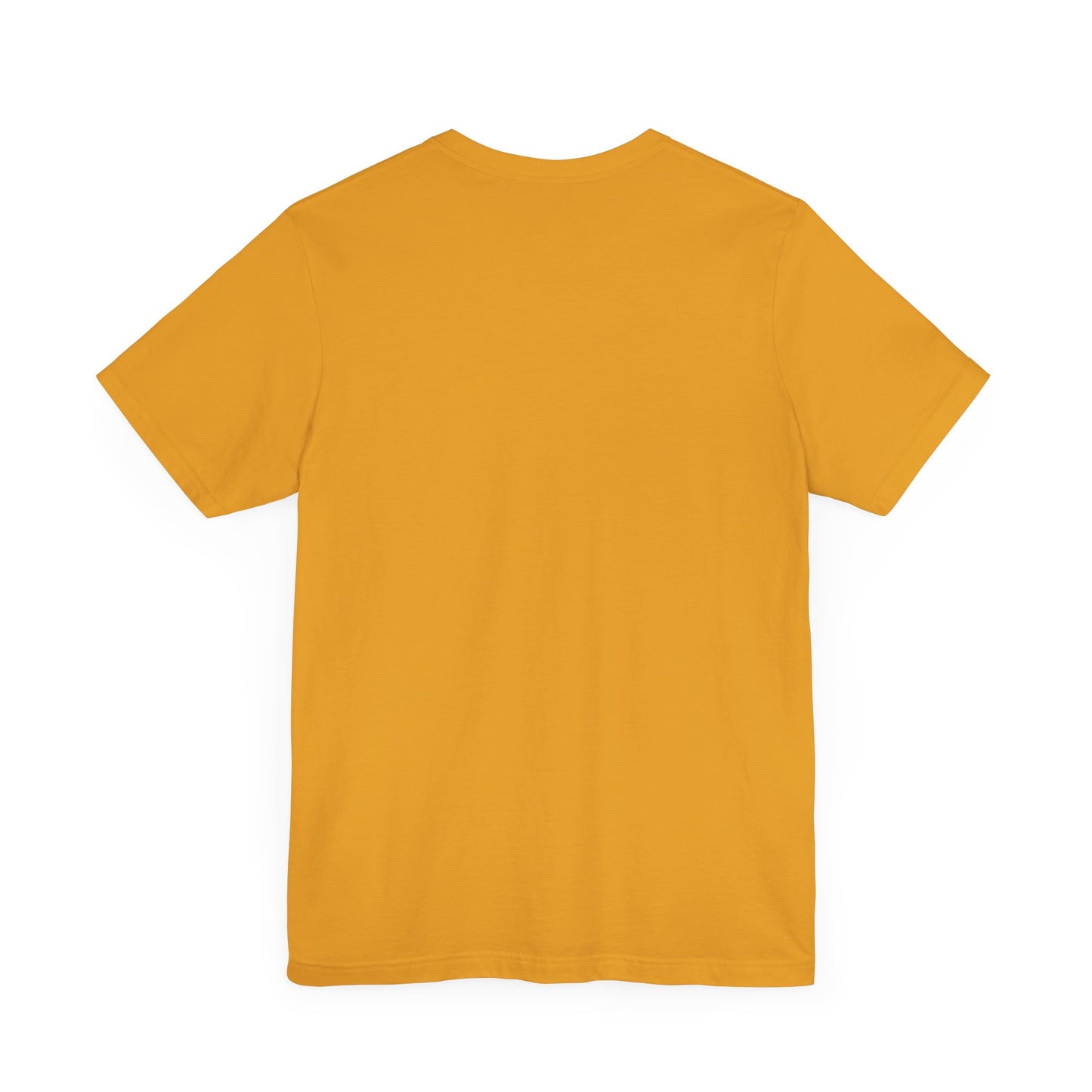 HUMAN Pride Flag - T-Shirt
