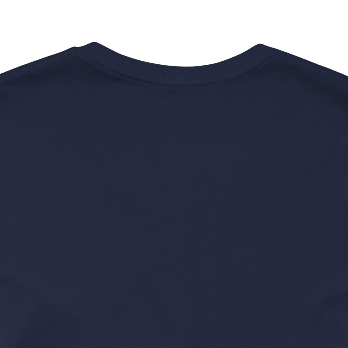 But It Was Assigned Lake Ontario at Birth | Adult T-Shirt