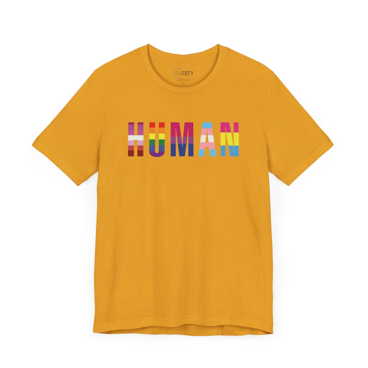 HUMAN Pride Flag - T-Shirt