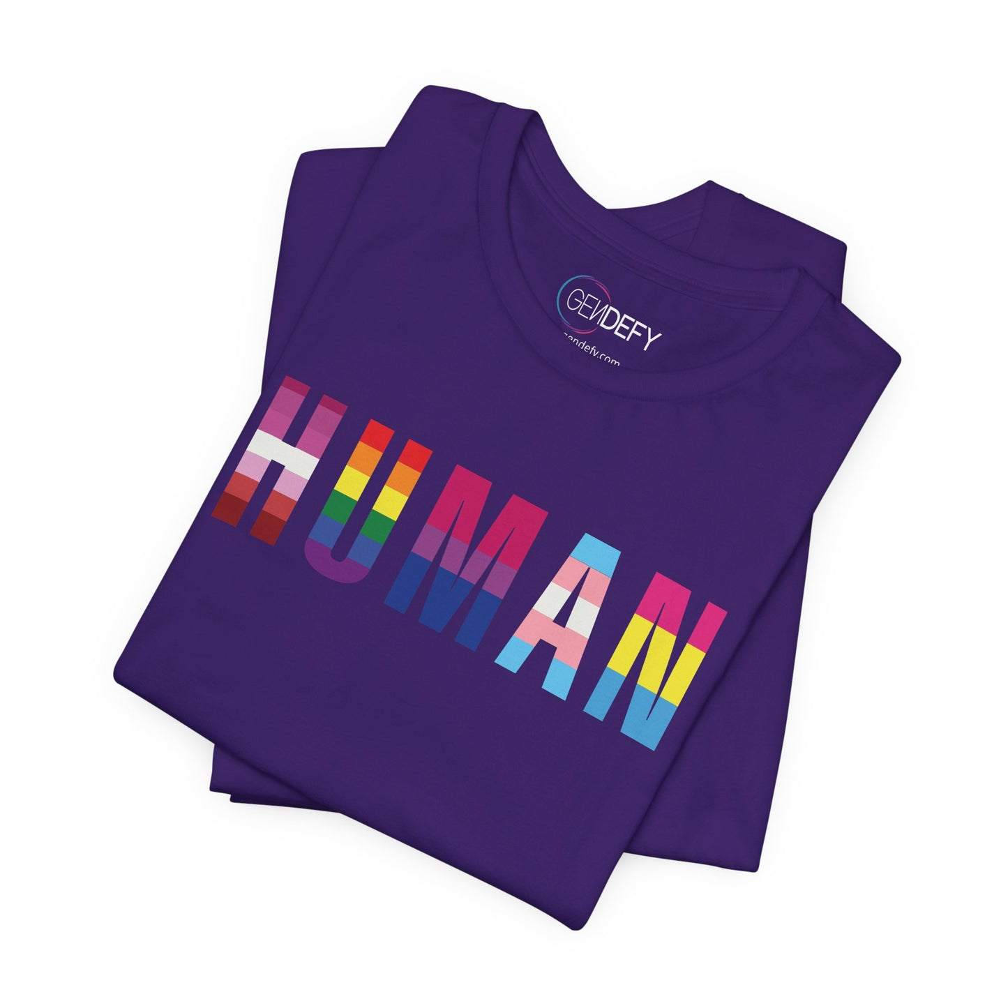 HUMAN Pride Flag - T-Shirt