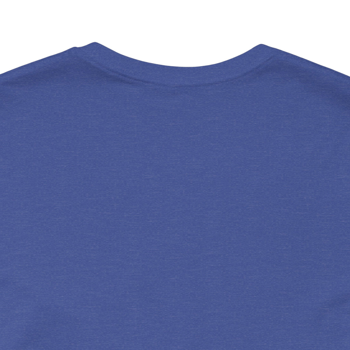 But It Was Assigned Lake Ontario at Birth | Adult T-Shirt